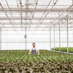 Irrigation Systems and Sprayers