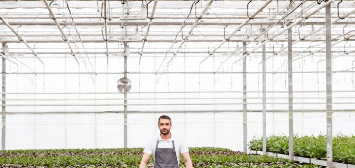 young-man-gardener-standing-greenhouse_171337-7517