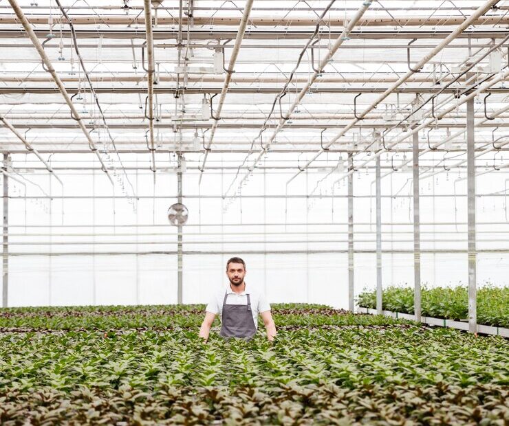young-man-gardener-standing-greenhouse_171337-7517 young-man-gardener-standing-greenhouse_171337-7517