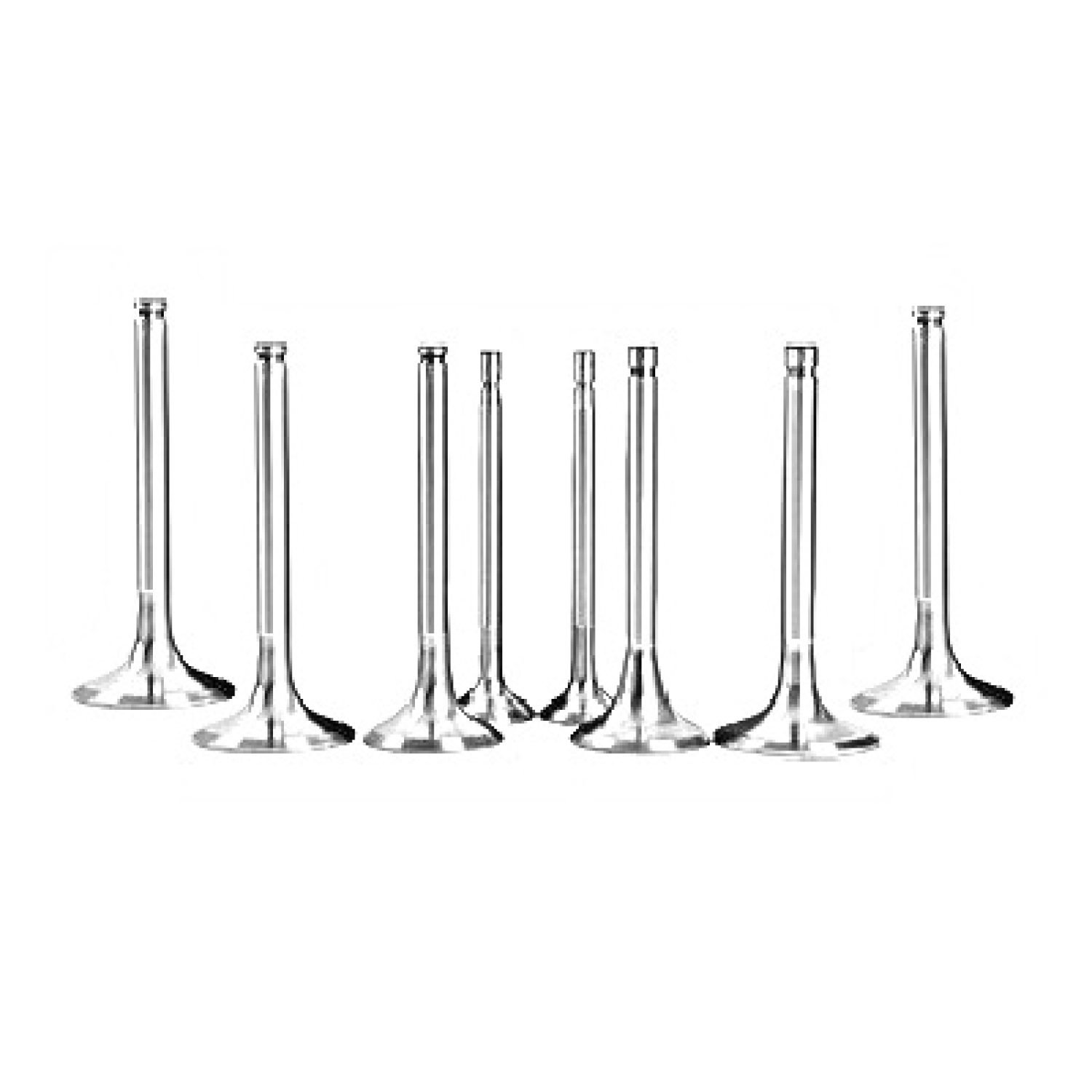 Valve-8-Pcs-Common